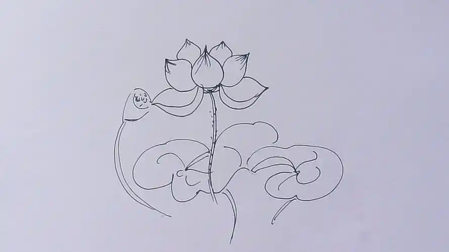 如何画简易的莲花