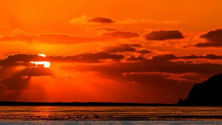 早晨第一缕阳光送给你(再续)