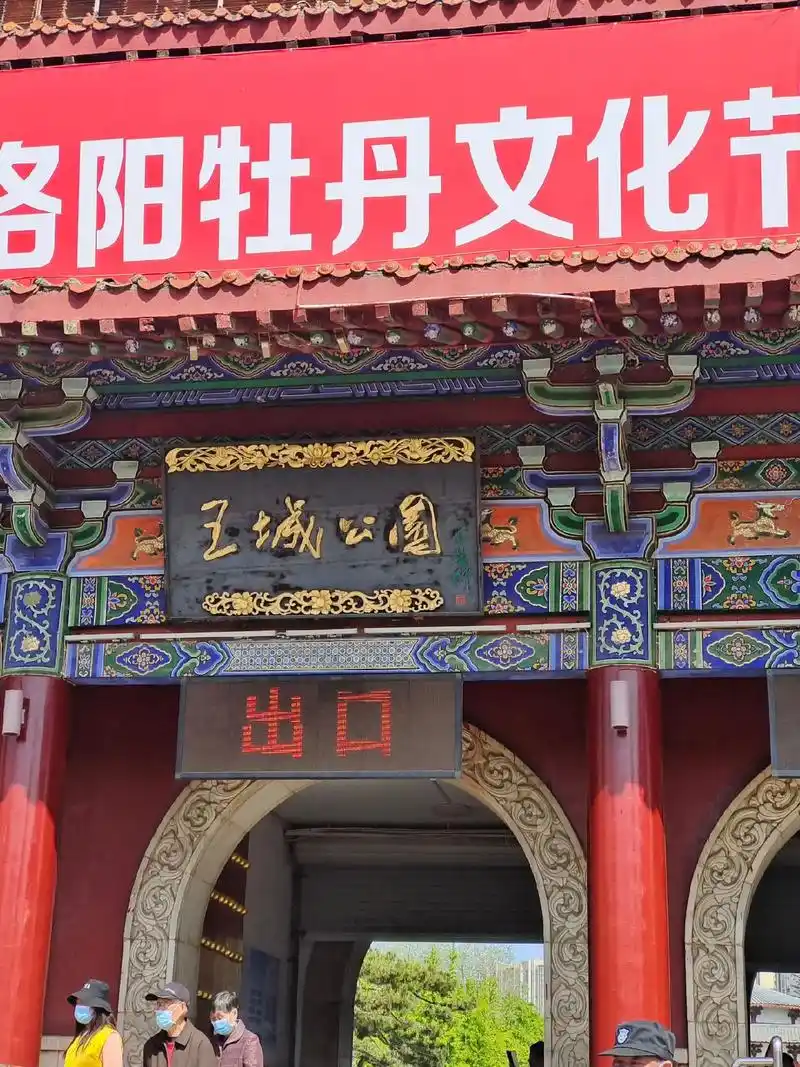 96来到大美洛阳的王城公园,好漂亮的牡丹花9494#国色天香 - 抖