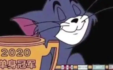 今年的收入还算乐观除去一切开支还剩个锤子表情包