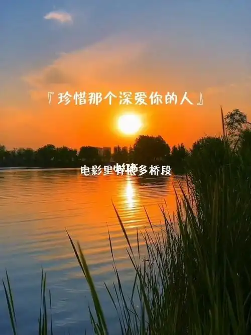 珍惜那个深爱你的人