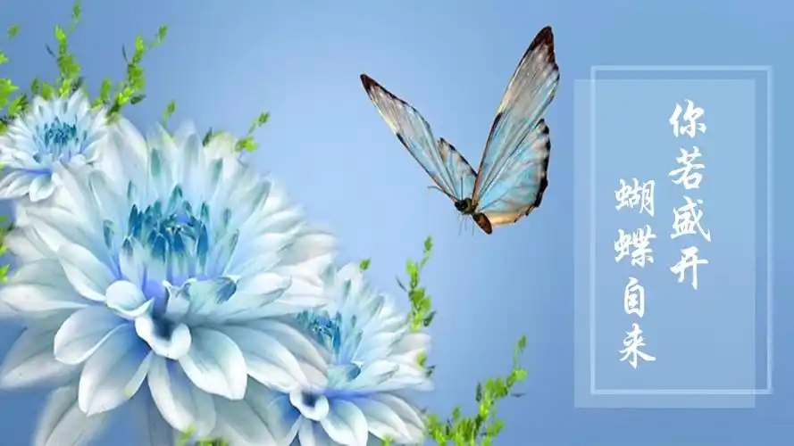 你若盛开蝴蝶自开_第1页