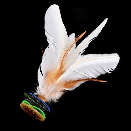 鹅毛振轩白色毽子成人儿童健身毽球小学生比赛毽子