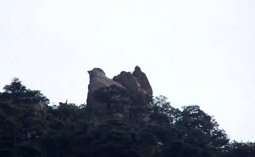 黄山奇石图片及名称之金鸡叫天都