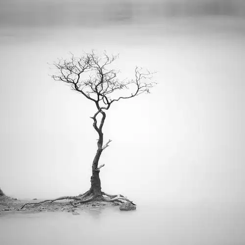 黑白风景唯美图片