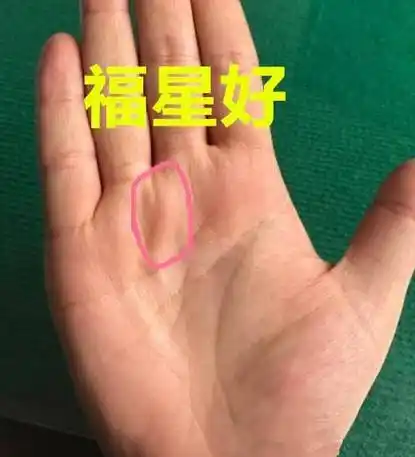 命里有钱人的女人手纹(命里有钱人的女人手纹图片)