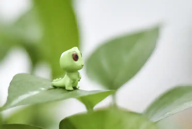 至简拍30一波小可爱