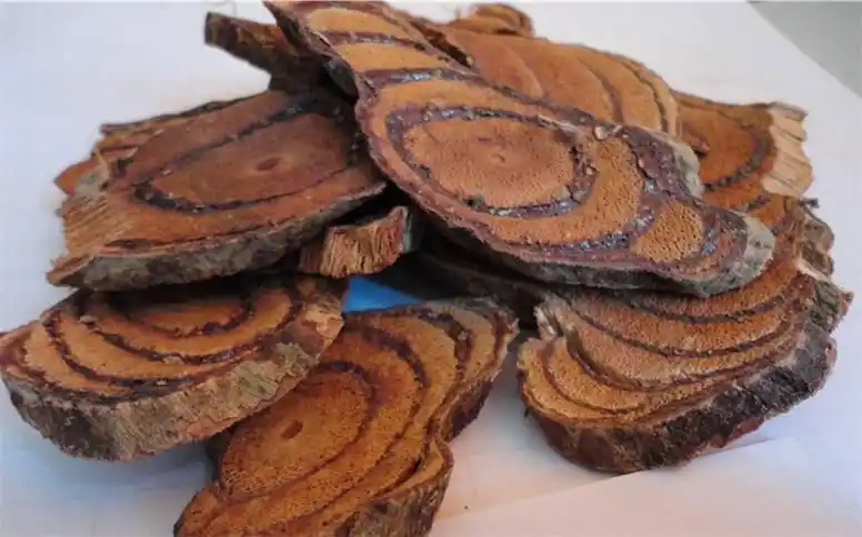 黑骨藤的采收储存秋冬采集清凉止血治风湿疼痛