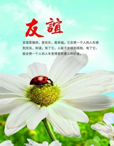 老友相聚 友谊长存