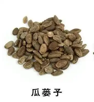 瓜蒌的功效与作用有哪些中药瓜的作用