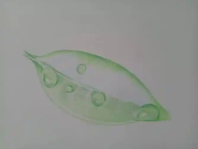 零基础彩铅教程 | 10分钟水滴速成