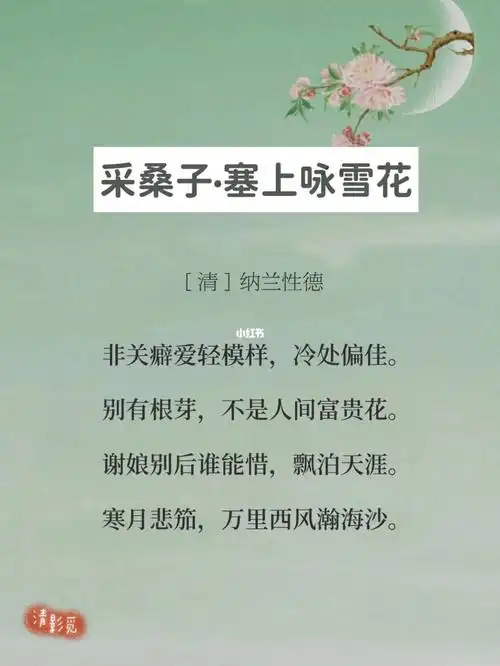 每日诗词253纳兰性德采桑子塞上咏雪花