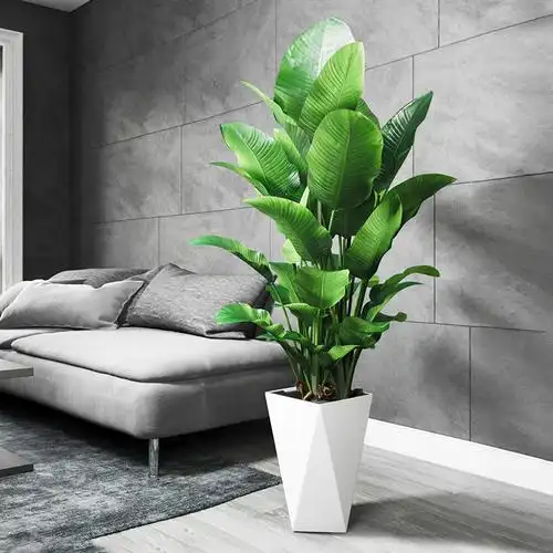 天堂鸟盆栽大型植物客厅绿植室内大盆栽易活轻奢北欧落地花卉盆景
