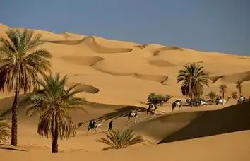 世界上最大沙漠是?最大的内陆湖泊是?