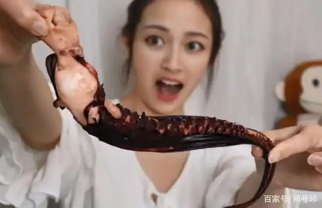 人类吃巨型章鱼.