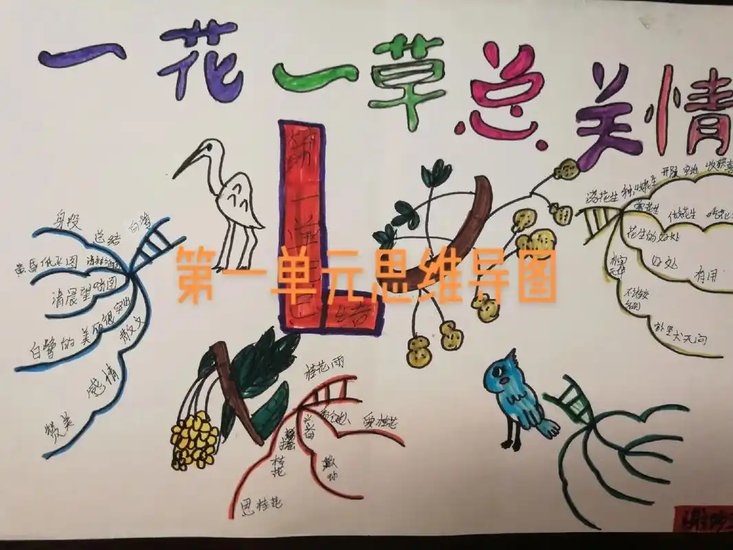 孩子们第一单元思维导图 - 抖音