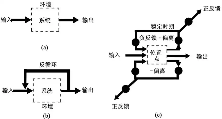 生态系统的反馈调节