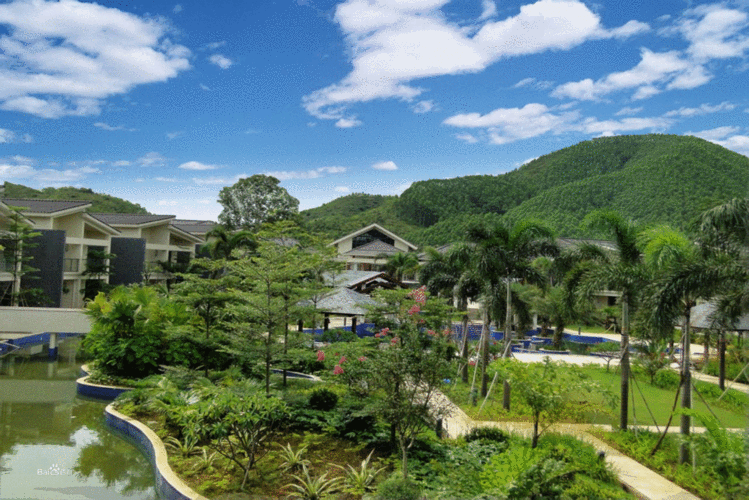 恩平万亩泉林度假区