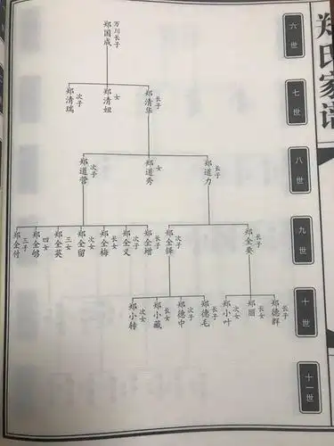 家谱制作世系图介绍