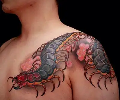 男性披肩蜈蚣纹身图案
