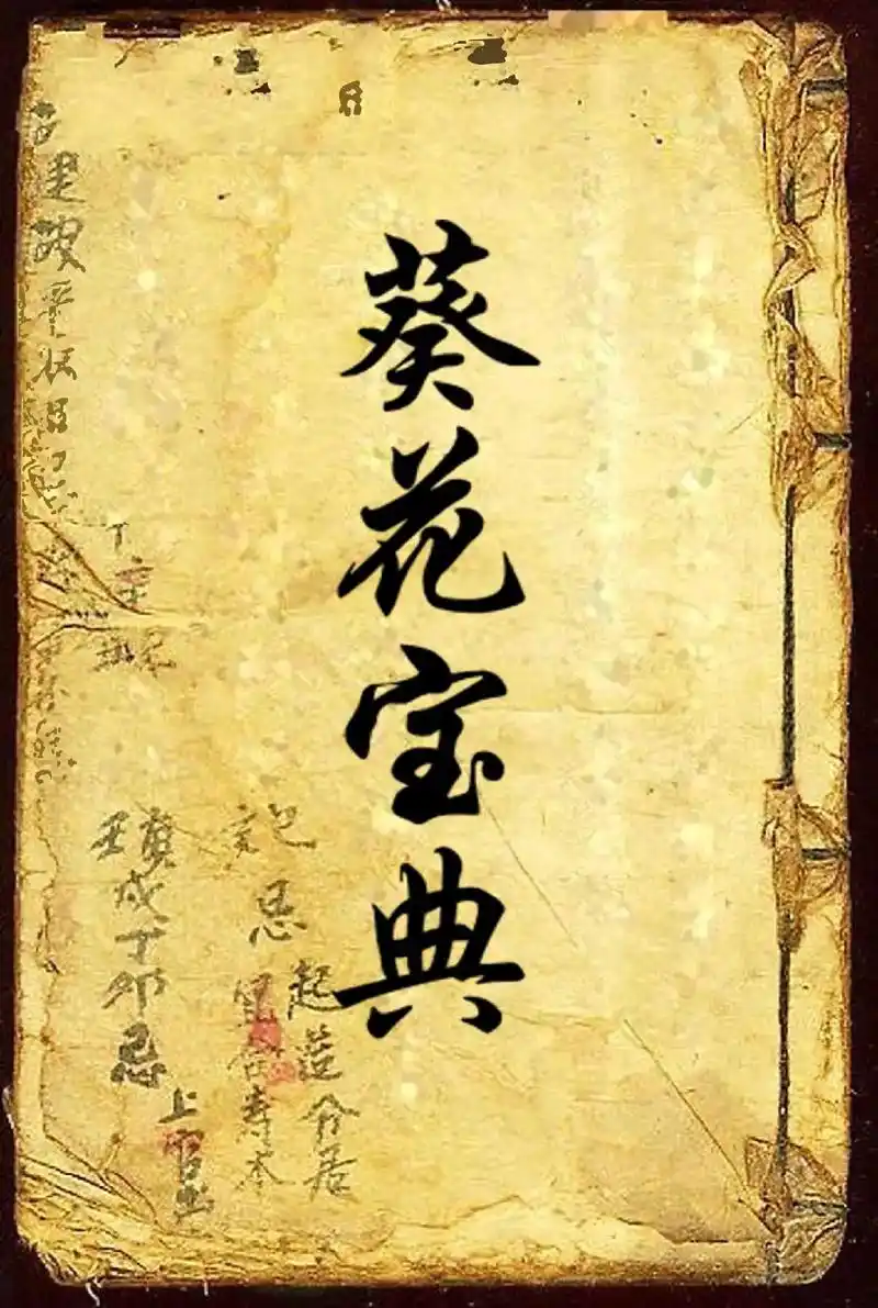 武功秘籍:葵花宝典#传统武术 #弘扬中华武术 #功夫 #中华 - 抖音