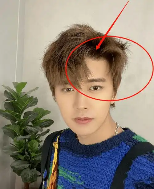 别人都用手比心,唯独任嘉伦特殊用头上"一物比心",看到画面后却1s心动