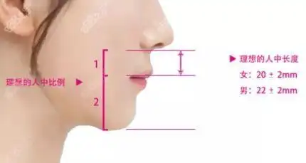 理想的人中长度是下巴的二分之一