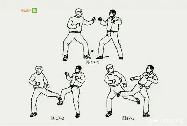 截拳道的招式和技击理念能满足这个要求.