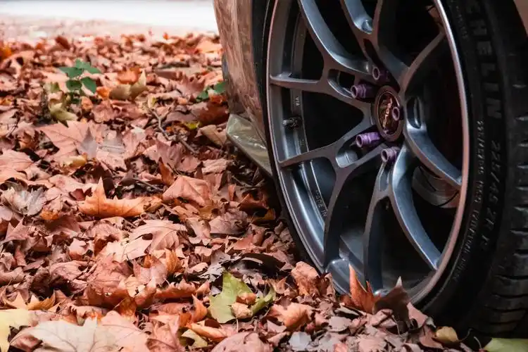 阿特兹秋季壁纸.#汽车摄影 #改装车 #马自达  有光皆可摄 - 抖音