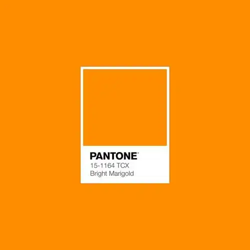 干货|pantone2021秋冬流行色绝美来袭