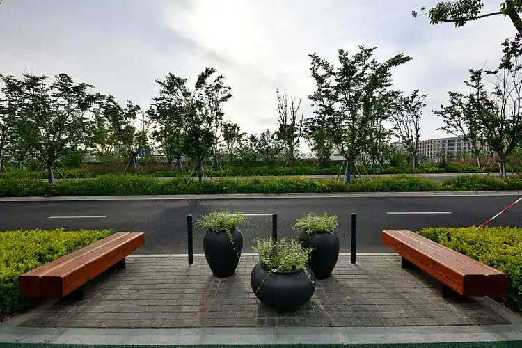 人行道景观图片下载