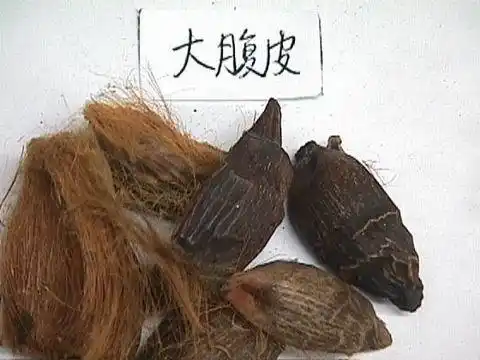 大腹皮的功效与作用