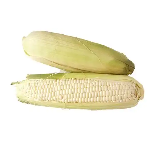 甜玉米1根约300g