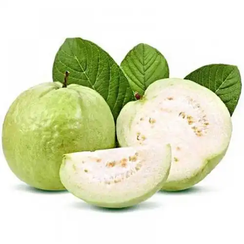 潮州番石榴 白肉芭乐水果