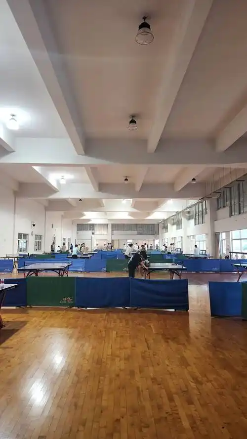 学校体育馆钢结构屋顶检测的重要性_进行_维修_问题