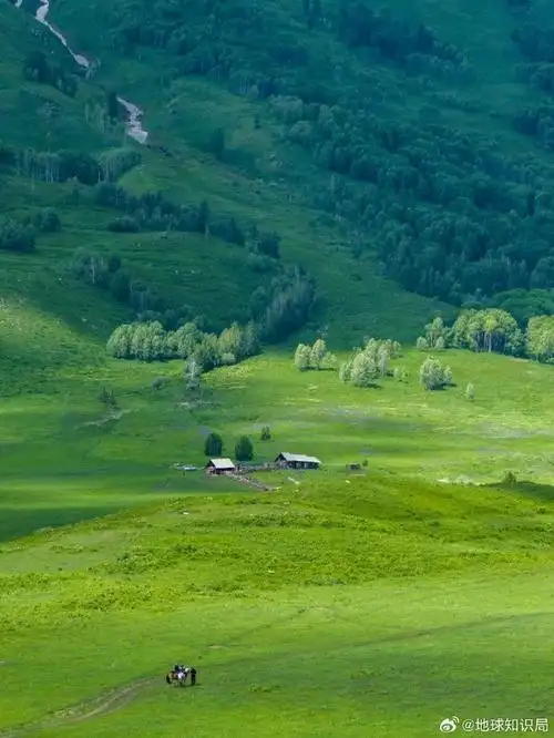 微博新知博主##微博知识