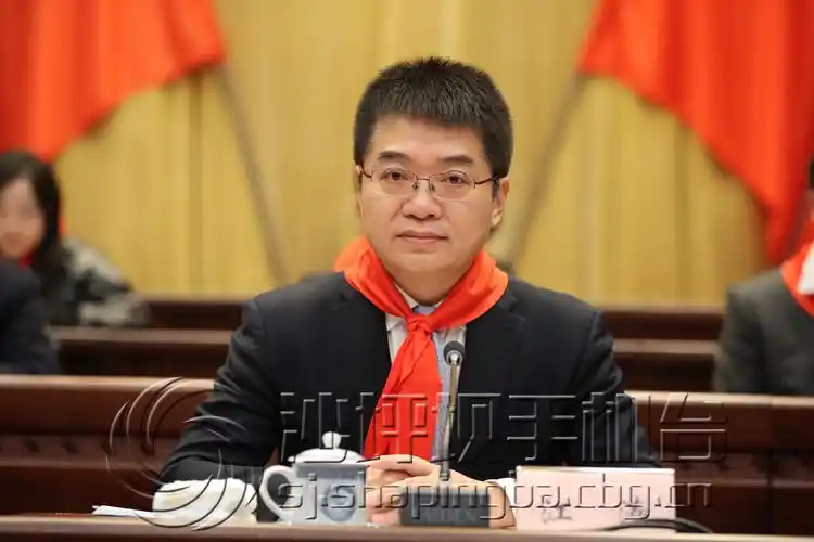 少先队重庆市沙坪坝区第四次代表大会召开 江涛出席并致辞