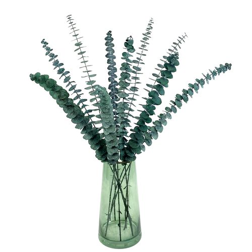 尤加利叶干花束苹果胺真花细叶北欧轻奢家居样板干花