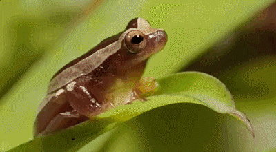 400_220gif 动态图 动图