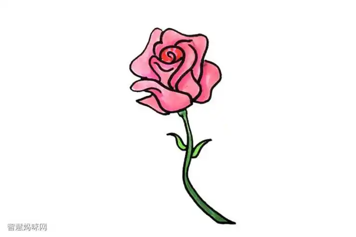 蔷薇卡通简笔画