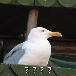 热点热门 萌宠表情 萌娃表情 斗图表情 锦鲤 土味语录 套路图 来自