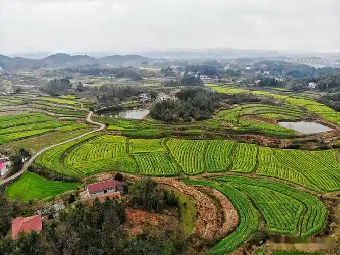 桃源县漆河镇:"旧习破除" 新风蔚然