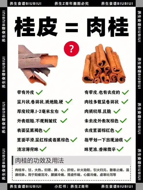 养生食谱‖肉桂,桂皮什么区别?上热下寒进