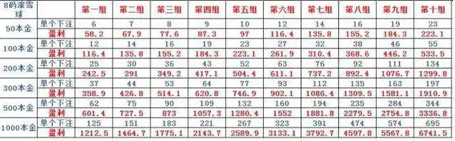 网传的北京赛车pk10"滚雪球"方案(受访者供图)