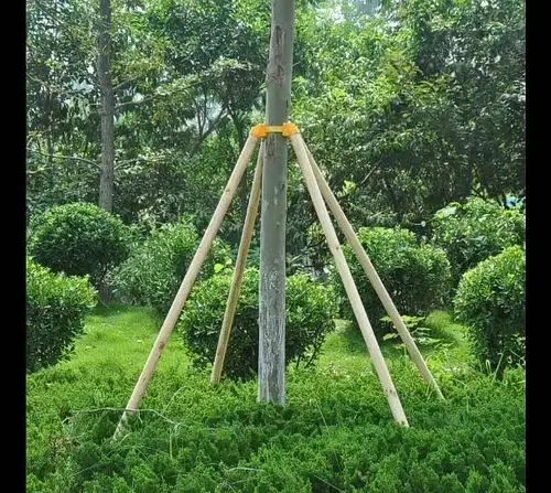 园林绿化树木支撑架 大树塑料套杯树木固定器 树木支撑加强架