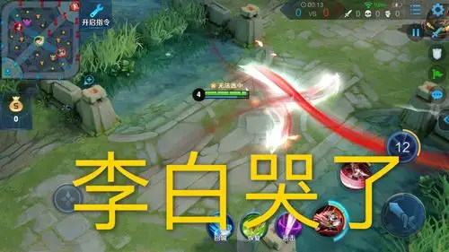 若刺客取消一技能,韩信废了,李白哭了,木兰当肉,她退出群聊_花木兰