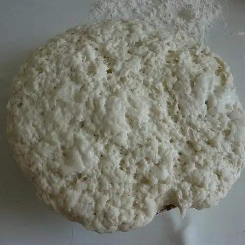 第6步,发酵好的白色面团