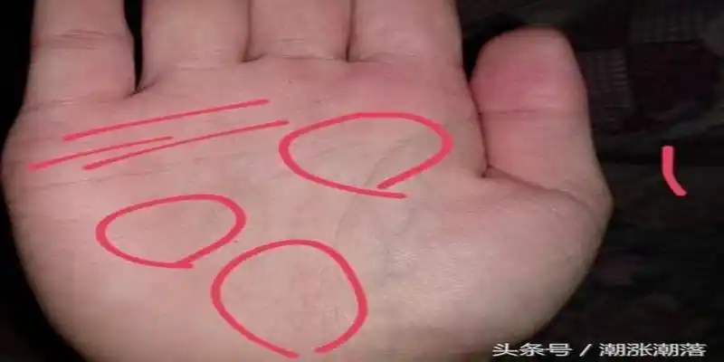 杂纹多事业发展波折阻碍多很难顺利平稳发展并且三条主纹路都不够深长