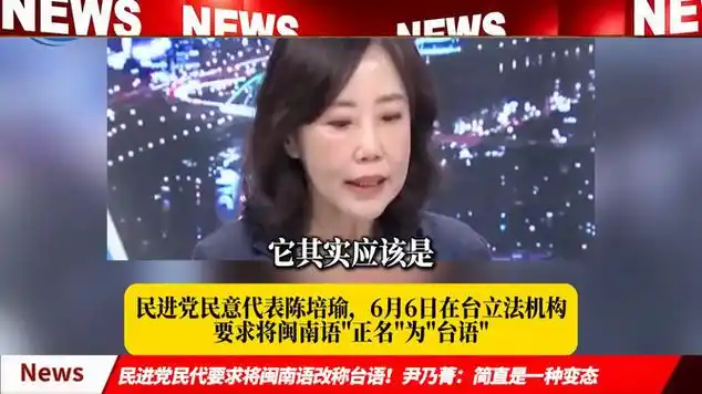 尹乃菁:简直是一种变态|小说家|记者|民主进步党_网易视频