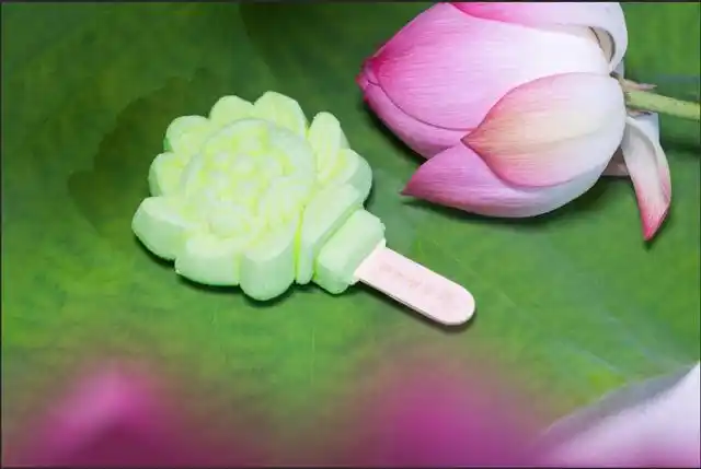荷花造型雪糕